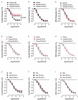 Mechanisms by which statins protect endothelial cells from radiation-induced injury in the carotid artery